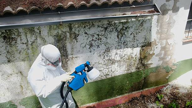 Top rated local Mold Cleanup specialists in Church Hill, PA